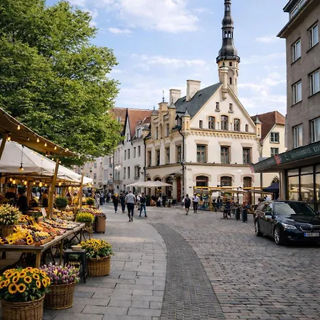 2br 98m2 Old Town With Pool Table And Free Parking! * タリン